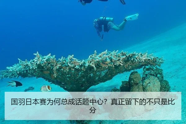guo-yu-ri-ben-sai-wei-he-zong-cheng-hua-ti-zhong-xin-zhen-zheng-liu-xia-de-bu-zhi-shi-bi-fen-2-597.jpg